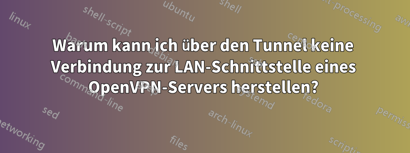 Warum kann ich über den Tunnel keine Verbindung zur LAN-Schnittstelle eines OpenVPN-Servers herstellen?