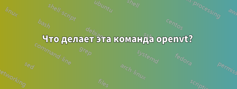 Что делает эта команда openvt?