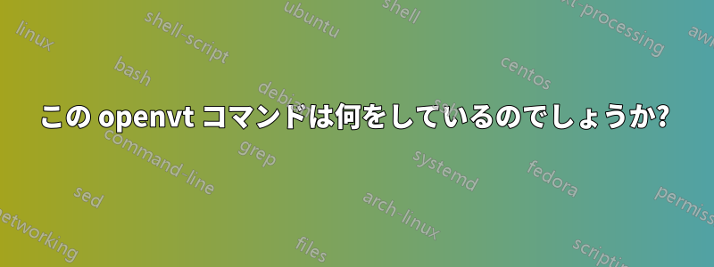 この openvt コマンドは何をしているのでしょうか?