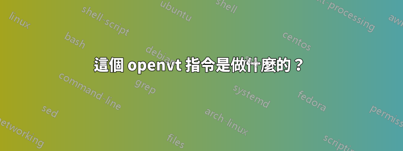 這個 openvt 指令是做什麼的？