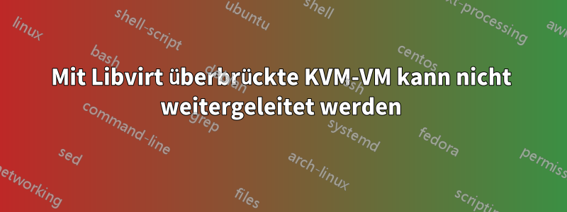 Mit Libvirt überbrückte KVM-VM kann nicht weitergeleitet werden