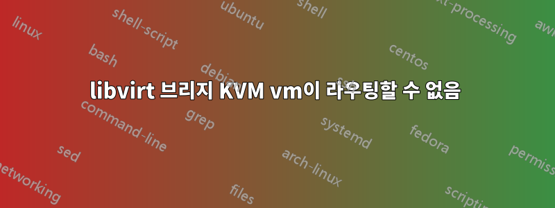 libvirt 브리지 KVM vm이 라우팅할 수 없음