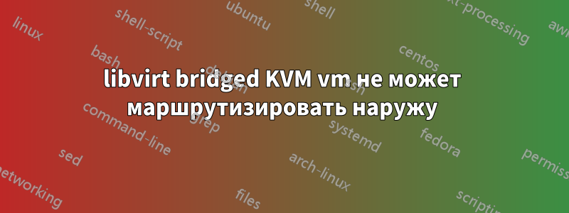 libvirt bridged KVM vm не может маршрутизировать наружу