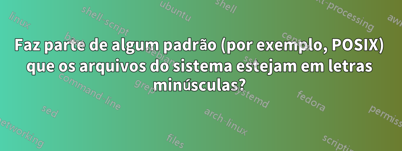 Faz parte de algum padrão (por exemplo, POSIX) que os arquivos do sistema estejam em letras minúsculas?