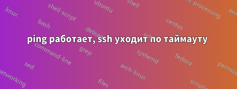 ping работает, ssh уходит по таймауту