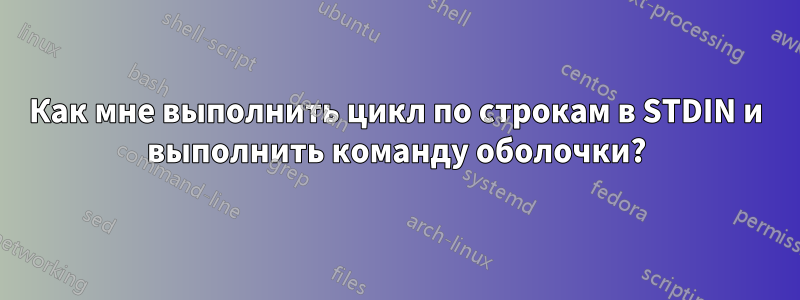 Как мне выполнить цикл по строкам в STDIN и выполнить команду оболочки?