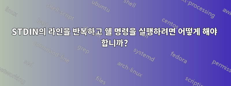 STDIN의 라인을 반복하고 쉘 명령을 실행하려면 어떻게 해야 합니까?