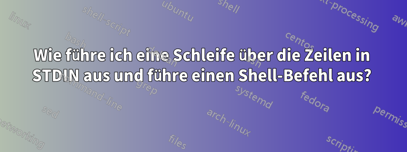 Wie führe ich eine Schleife über die Zeilen in STDIN aus und führe einen Shell-Befehl aus?