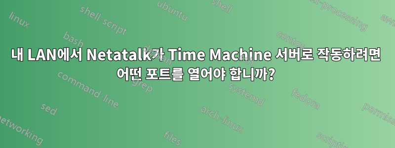 내 LAN에서 Netatalk가 Time Machine 서버로 작동하려면 어떤 포트를 열어야 합니까?