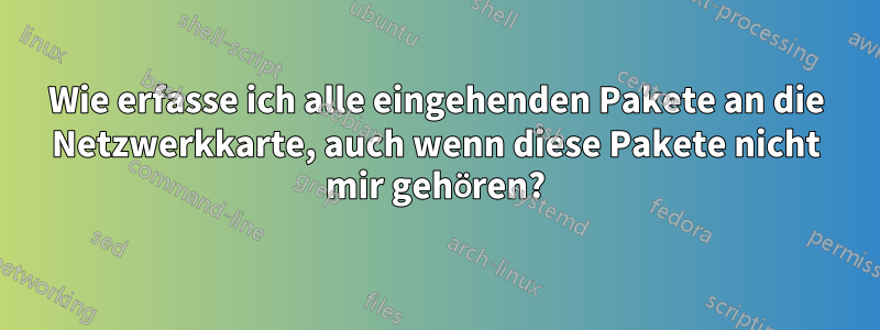 Wie erfasse ich alle eingehenden Pakete an die Netzwerkkarte, auch wenn diese Pakete nicht mir gehören?