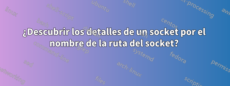 ¿Descubrir los detalles de un socket por el nombre de la ruta del socket?