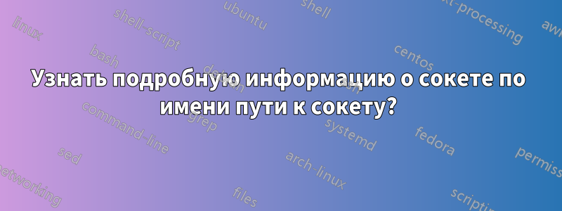 Узнать подробную информацию о сокете по имени пути к сокету?