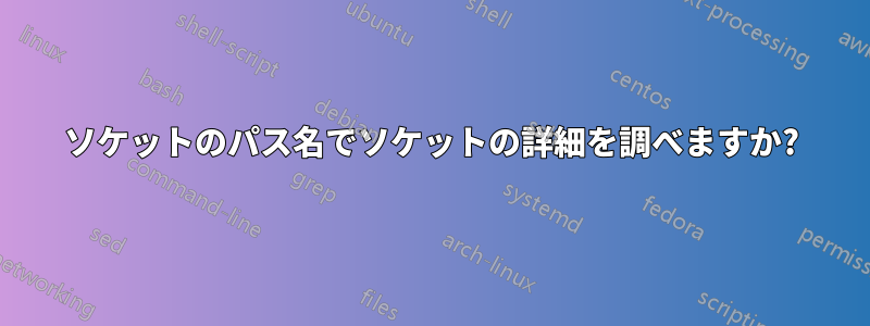 ソケットのパス名でソケットの詳細を調べますか?