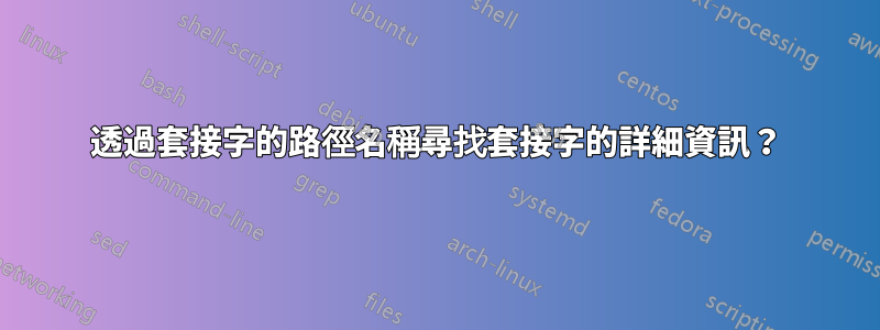 透過套接字的路徑名稱尋找套接字的詳細資訊？