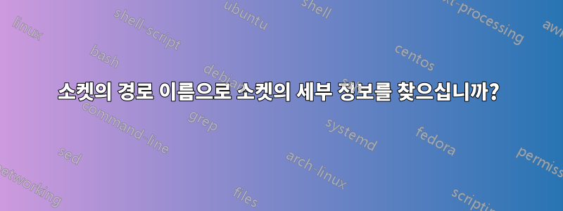 소켓의 경로 이름으로 소켓의 세부 정보를 찾으십니까?