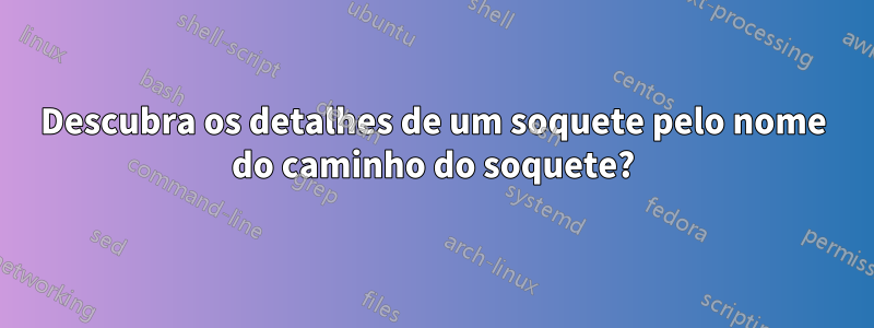 Descubra os detalhes de um soquete pelo nome do caminho do soquete?