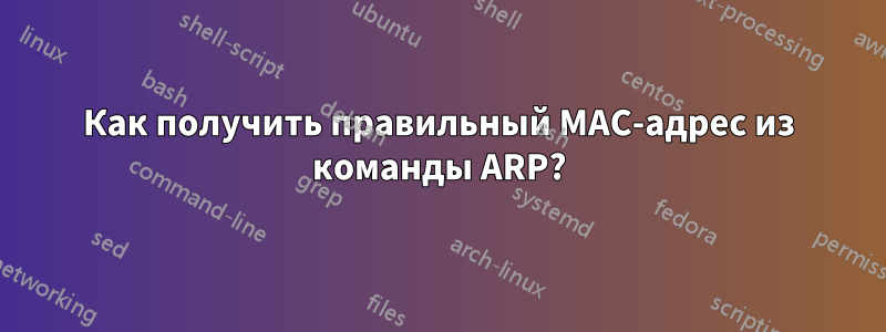 Как получить правильный MAC-адрес из команды ARP?