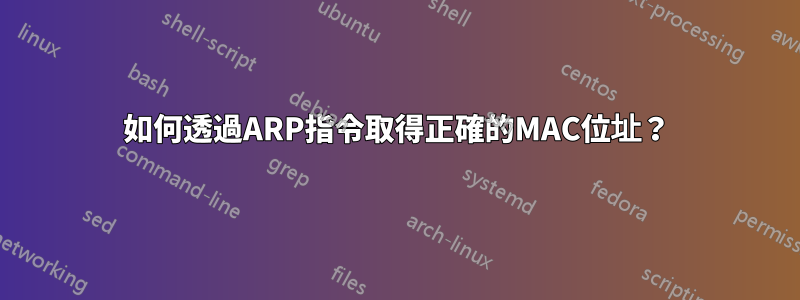 如何透過ARP指令取得正確的MAC位址？