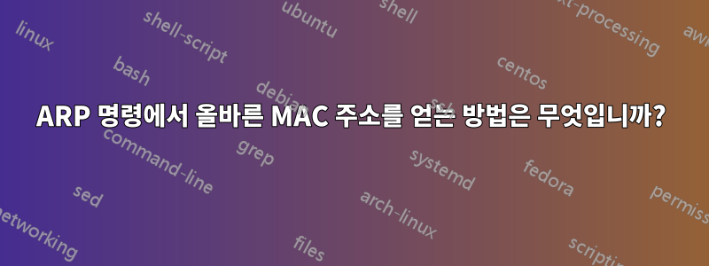 ARP 명령에서 올바른 MAC 주소를 얻는 방법은 무엇입니까?