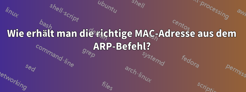 Wie erhält man die richtige MAC-Adresse aus dem ARP-Befehl?