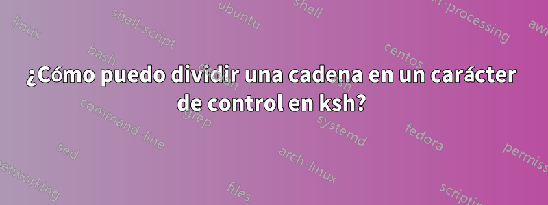 ¿Cómo puedo dividir una cadena en un carácter de control en ksh?