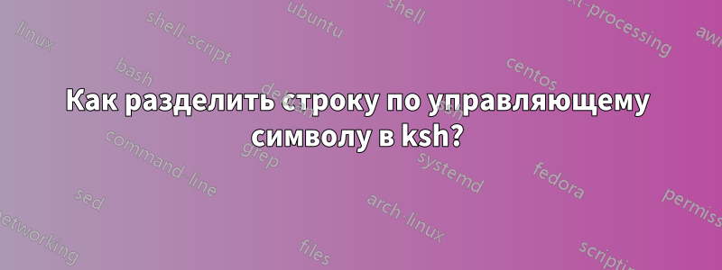 Как разделить строку по управляющему символу в ksh?