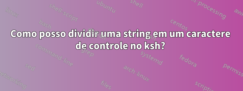 Como posso dividir uma string em um caractere de controle no ksh?