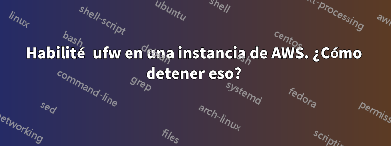 Habilité ufw en una instancia de AWS. ¿Cómo detener eso?