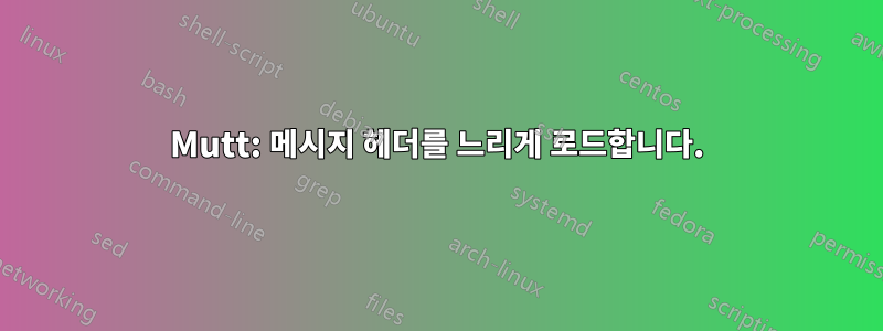 Mutt: 메시지 헤더를 느리게 로드합니다.