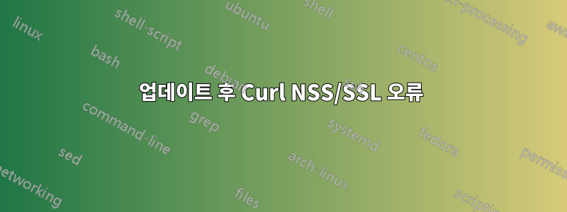 업데이트 후 Curl NSS/SSL 오류