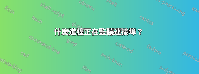 什麼進程正在監聽連接埠？