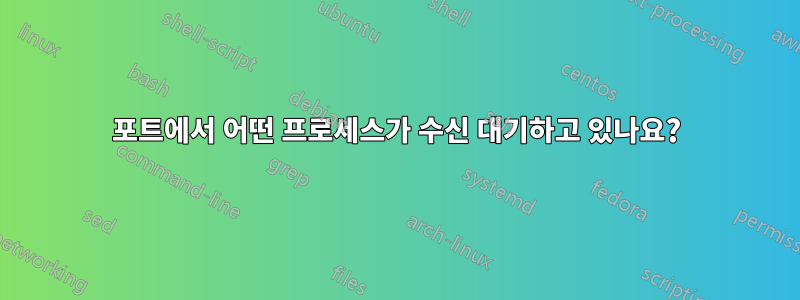 포트에서 어떤 프로세스가 수신 대기하고 있나요?