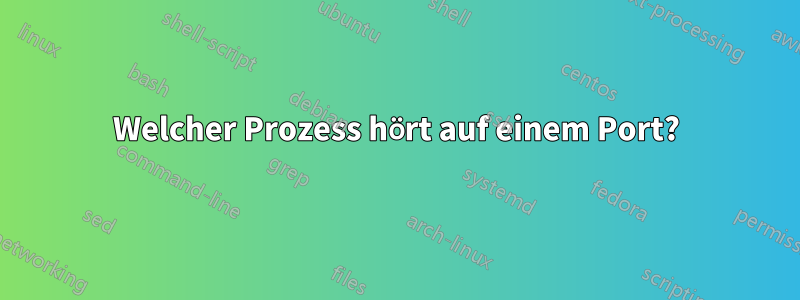 Welcher Prozess hört auf einem Port?