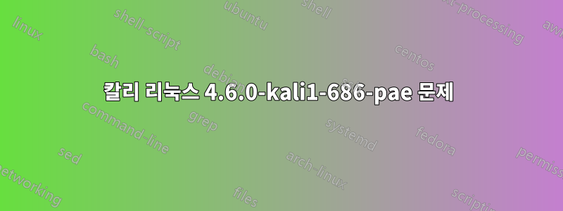 칼리 리눅스 4.6.0-kali1-686-pae 문제