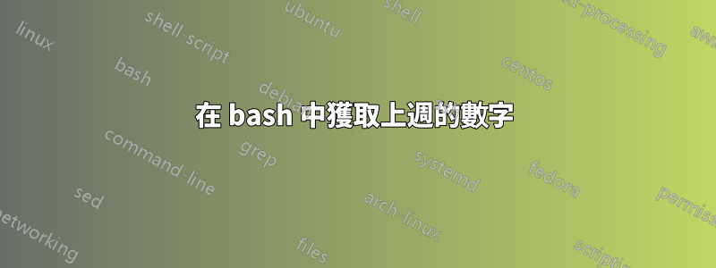 在 bash 中獲取上週的數字