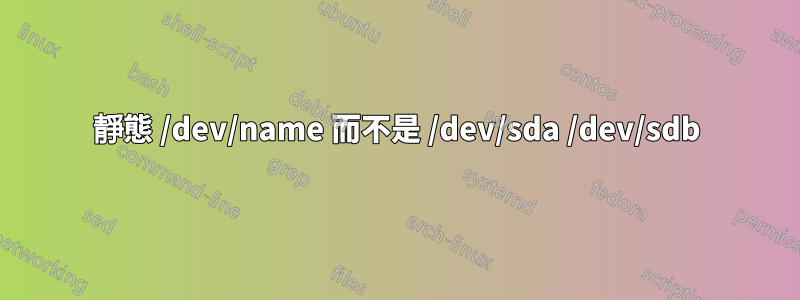 靜態 /dev/name 而不是 /dev/sda /dev/sdb