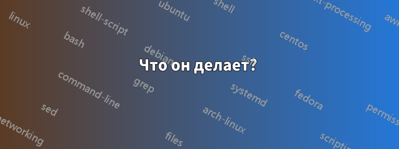 Что он делает?