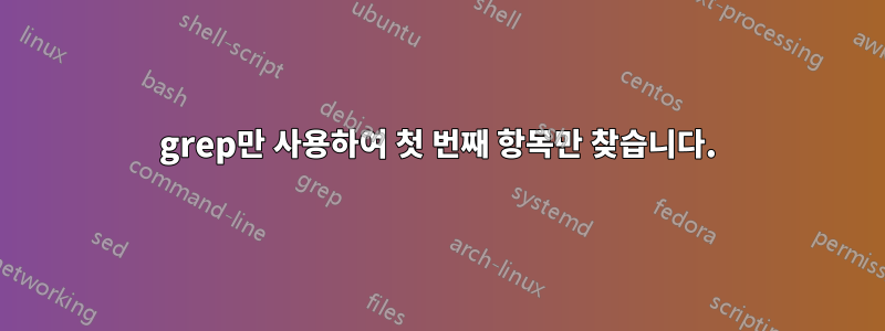 grep만 사용하여 첫 번째 항목만 찾습니다.