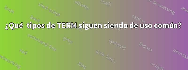 ¿Qué tipos de TERM siguen siendo de uso común? 