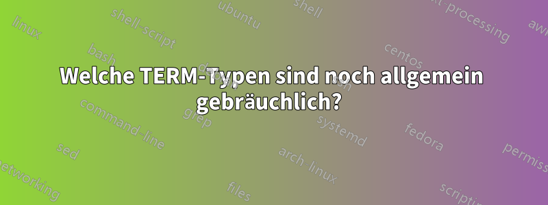 Welche TERM-Typen sind noch allgemein gebräuchlich? 