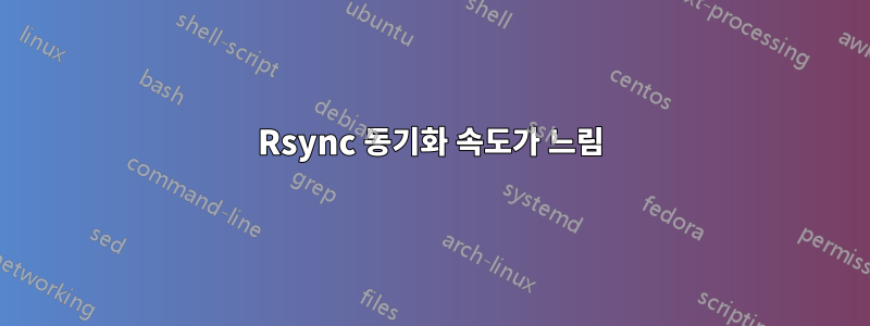 Rsync 동기화 속도가 느림