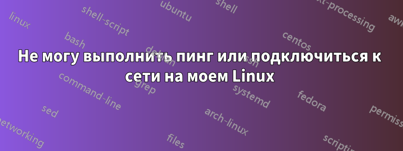 Не могу выполнить пинг или подключиться к сети на моем Linux