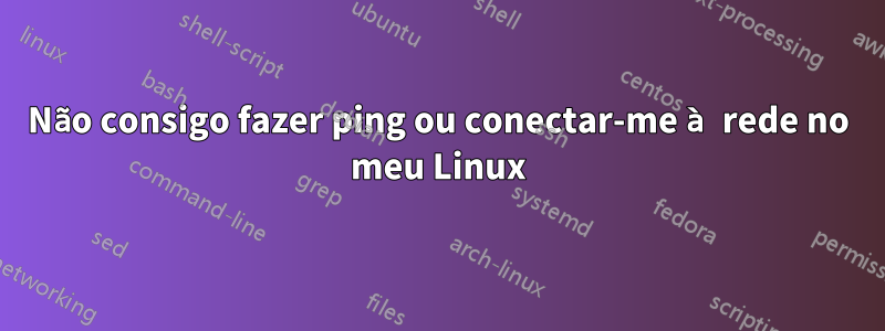 Não consigo fazer ping ou conectar-me à rede no meu Linux