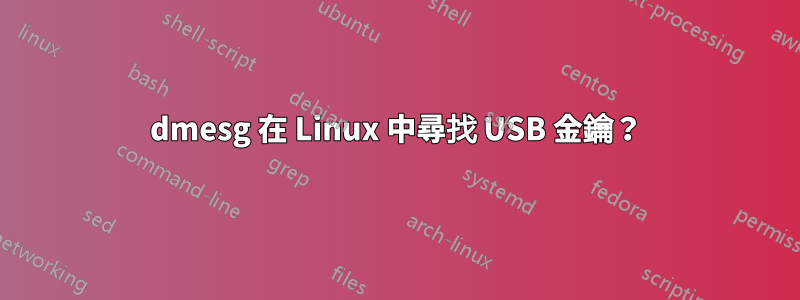 dmesg 在 Linux 中尋找 USB 金鑰？