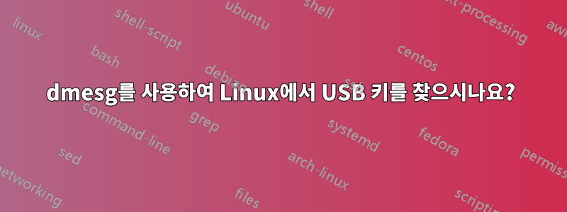 dmesg를 사용하여 Linux에서 USB 키를 찾으시나요?