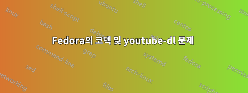 Fedora의 코덱 및 youtube-dl 문제