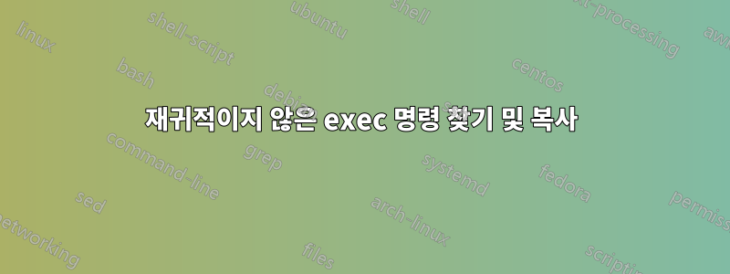 재귀적이지 않은 exec 명령 찾기 및 복사