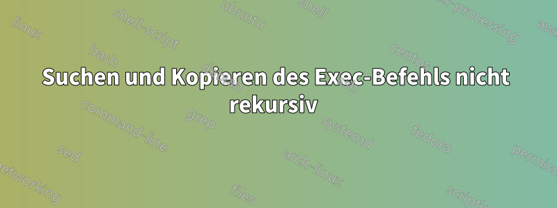 Suchen und Kopieren des Exec-Befehls nicht rekursiv 