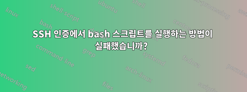 SSH 인증에서 bash 스크립트를 실행하는 방법이 실패했습니까? 