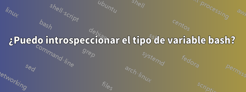 ¿Puedo introspeccionar el tipo de variable bash?